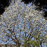 Quinta Do Paco Vila Real