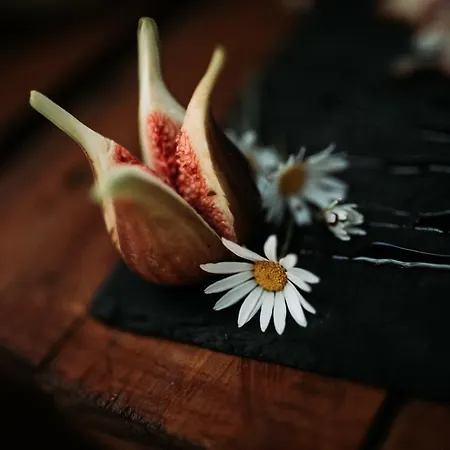 Quinta Do Paco Hotel