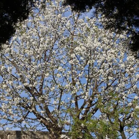Quinta Do Paco Vila Real
