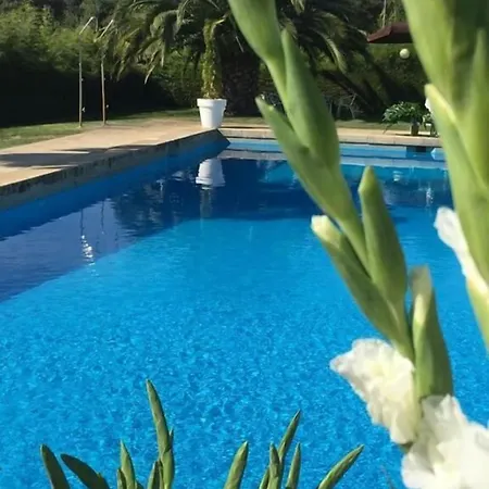 Quinta Do Paco Hotel Vila Real