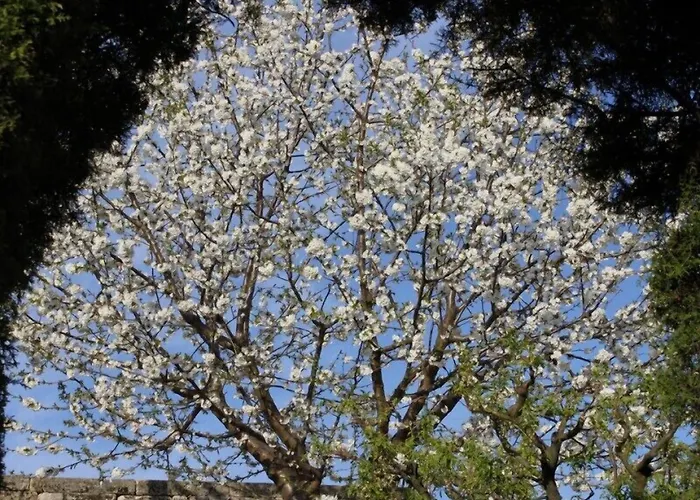 Quinta Do Paço Vila Real