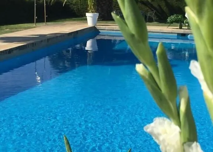 Quinta Do Paco Hotel Vila Real